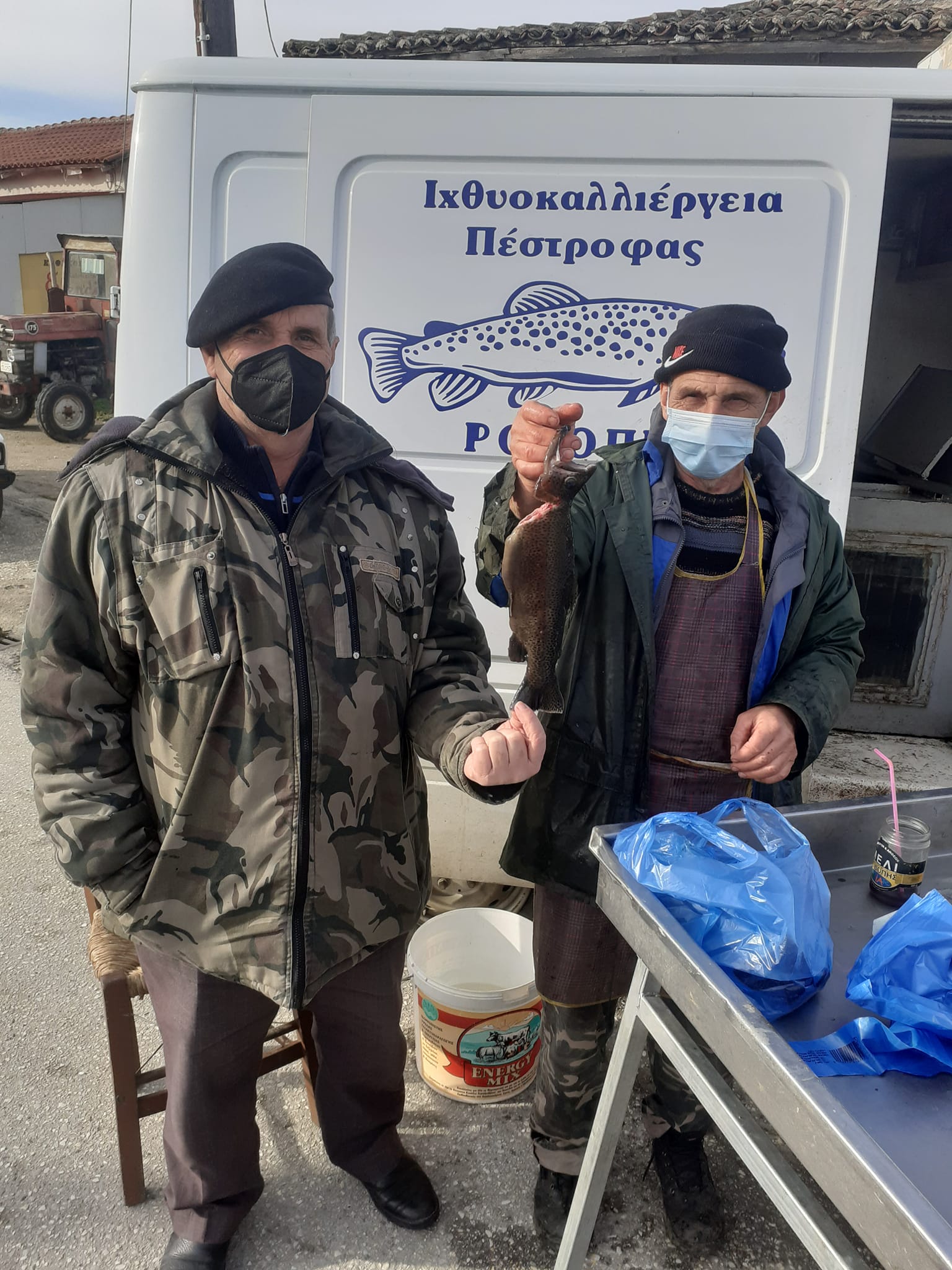 Ζωντανή Πέστροφα  