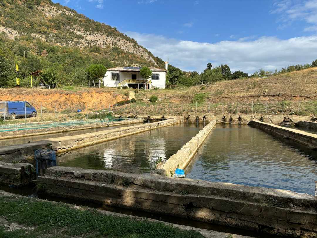 φωτογραφιες